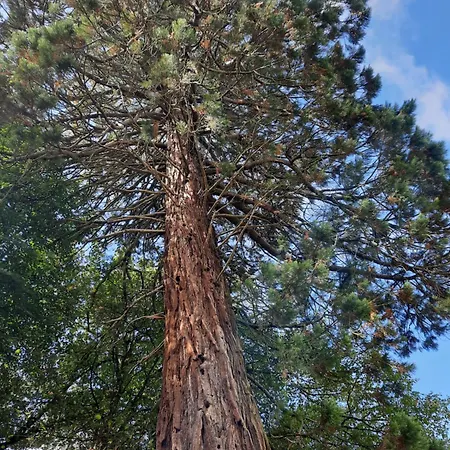 Oda ve Kahvaltı L'essongere Saint-Herblain