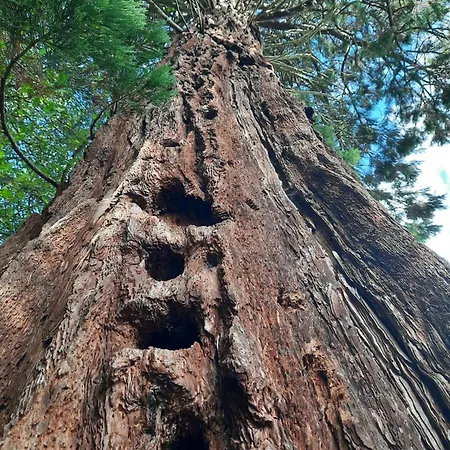 L'essongere Saint-Herblain
