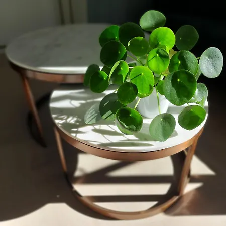 L'essongere Oda ve Kahvaltı 3*