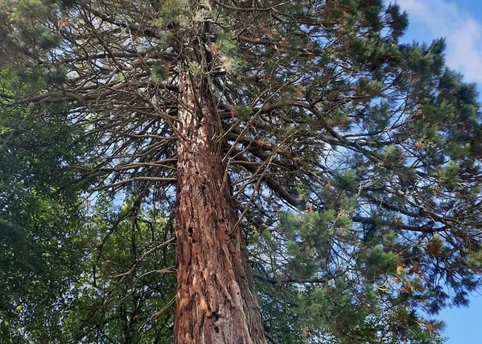 Couette-café L'essongère Saint-Herblain