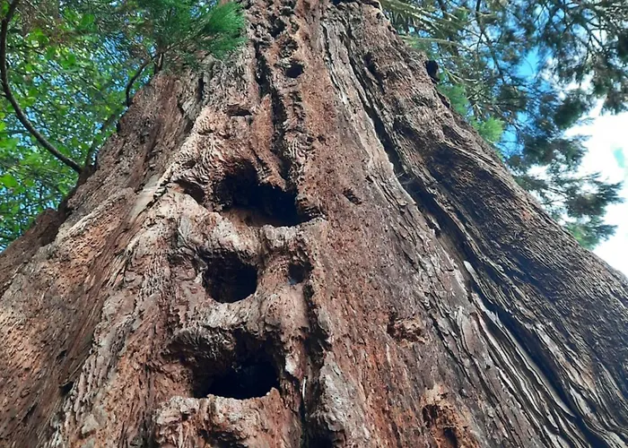 L'essongere Saint-Herblain