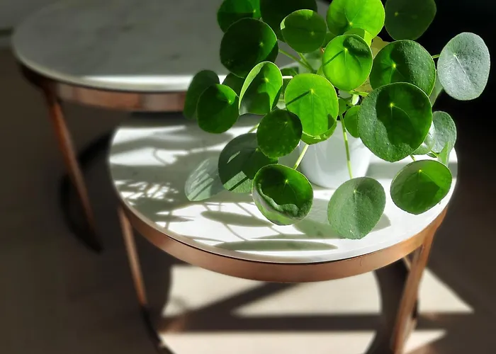 L'essongère Couette-café 3*