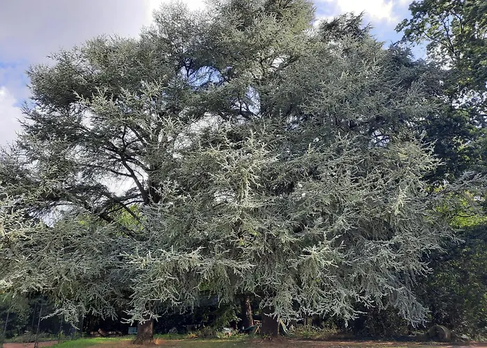 L'essongère Couette-café Saint-Herblain