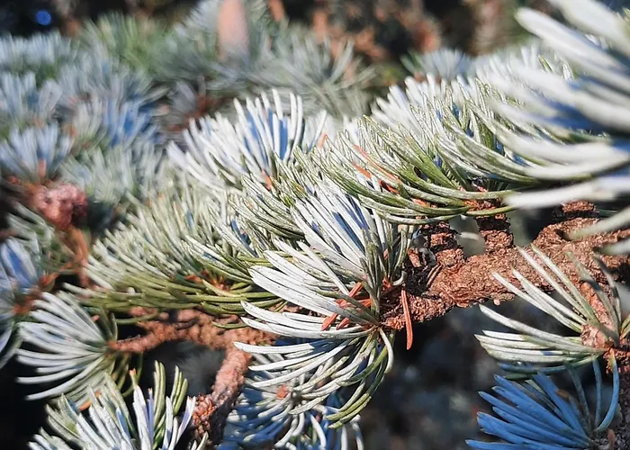 L'essongere Alojamento de Acomodação e Pequeno-almoço