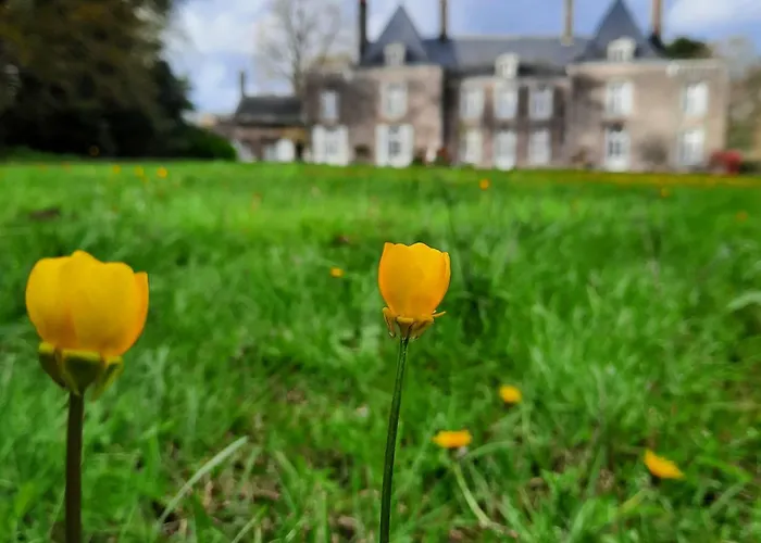 Couette-café L'essongère Saint-Herblain